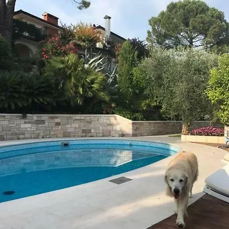 Luxury Garda Amazing View